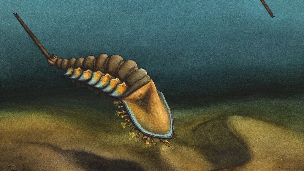 Taiteilijan näkemys hämähäkkien ja skorpionien varhaisimmaksi tunnetuksi esi-isäksi paljastuneesta eliöstä.