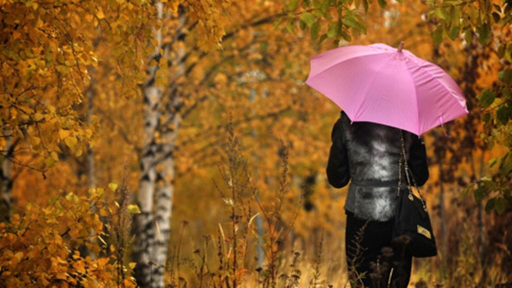 Lehtikuva/Vesa Moilanen