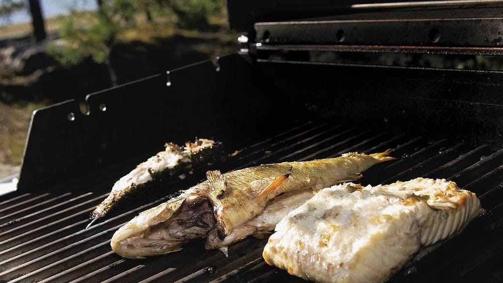 Kala sopii myös grillattavaksi.
