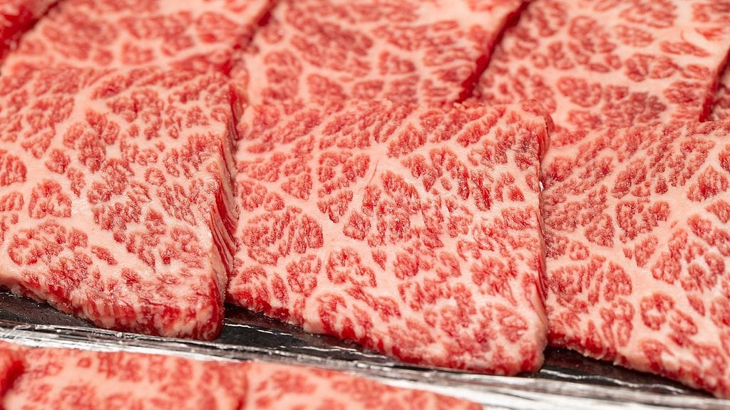 shutterstock_2458421295