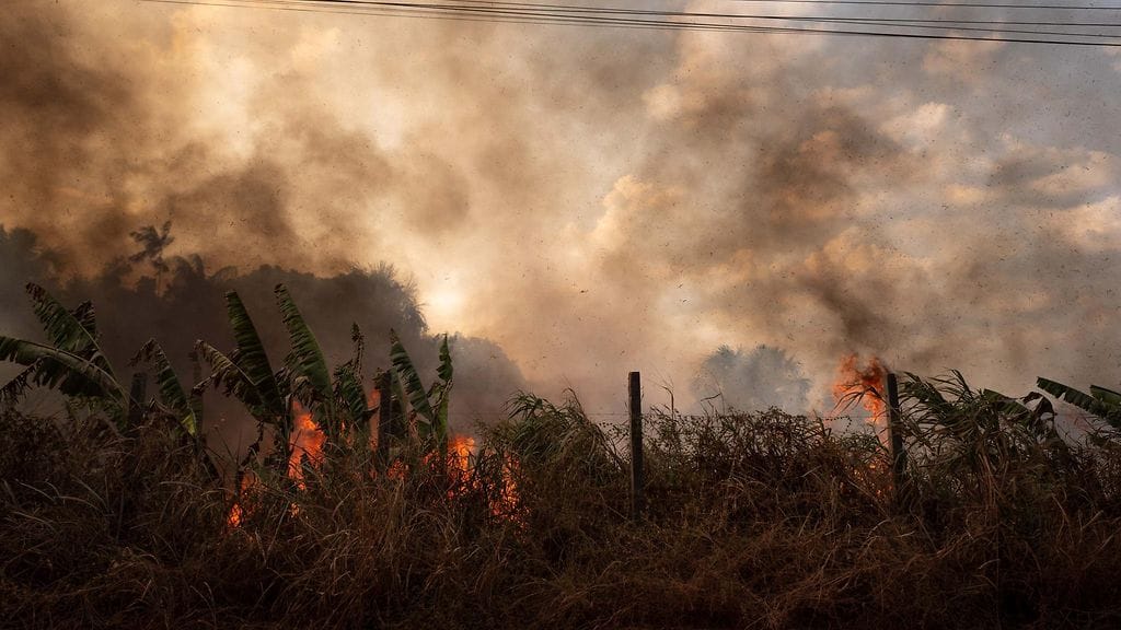 Maastopalo Amazonin sademetsässä viime vuoden lokakuussa.