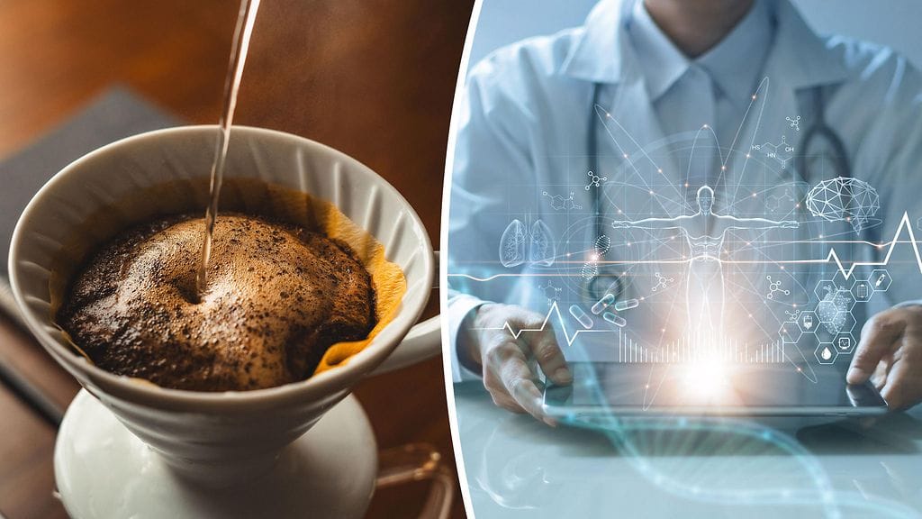 Kahvinjuojien suolessa eli enemmän Lawsonibacter asaccharolyticus -bakteeria.