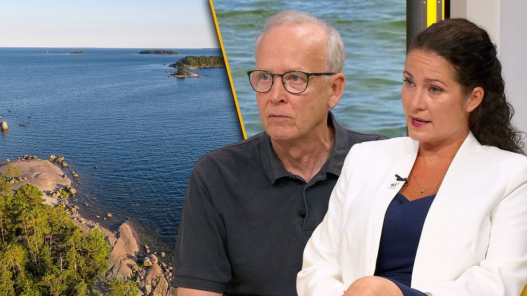 Millaisessa kesäkunnossa Itämeri on?