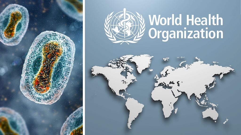 WHO listasi vaarallisimmat taudinaiheuttajat heinäkuun lopulla.