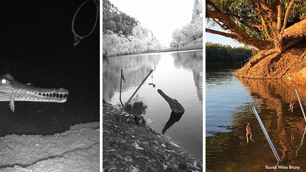 Tutkimuksen raportissa julkaistuja kuvia.