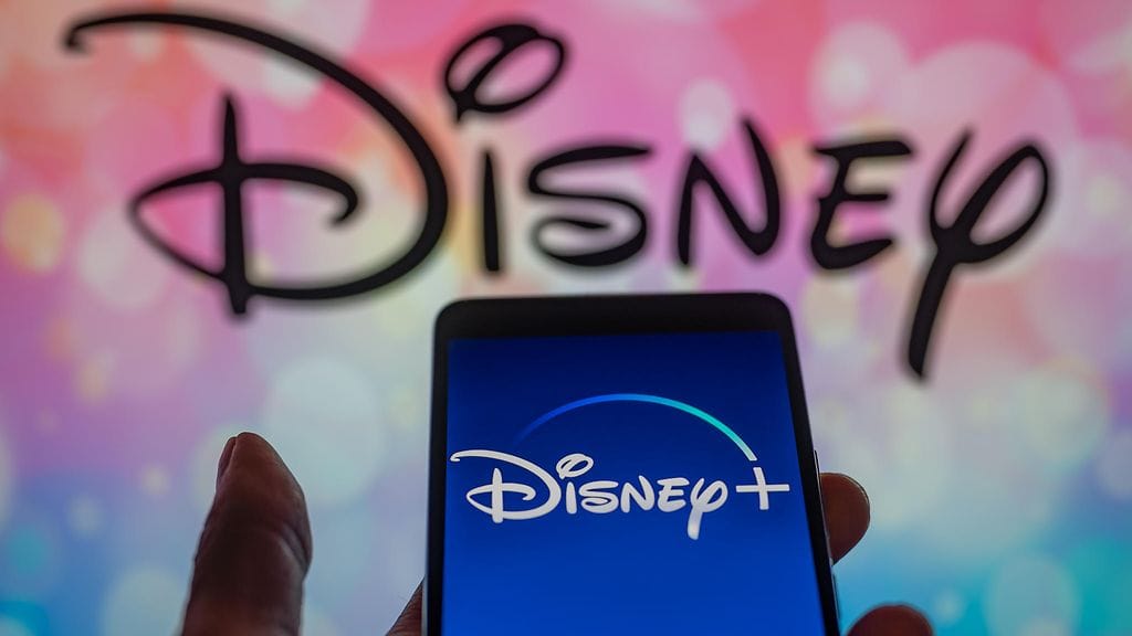 Disney World -teemapuistossa lokakuusa 2023 menehtyneen naisen puoliso haastoi Disneyn oikeuteen vaimonsa kuolemaan johtaneesta laiminlyönnistä teemapuiston ravintolassa. Viihdejätti pyrkii välttämään oikeudenkäynnin vetoamalla miehen vuosien takaiseen Disney+ -tilaukseen.