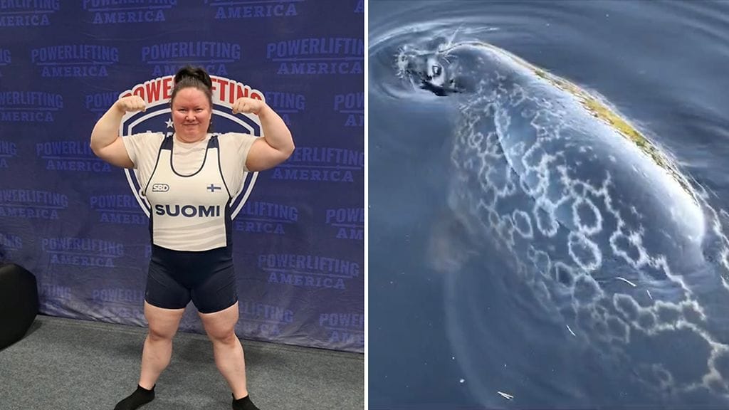 Johanna teki kaikkien aikojen suomalaistuloksen. Saimaalla puolestaan saatiin yllättävä mökkivieras.