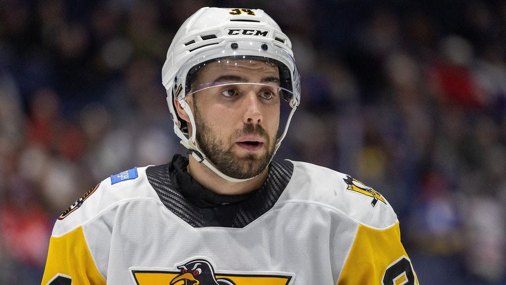 Peter Abbandonato päätti viime AHL-kautensa Wilkes-Barre/Scranton Penguinsissa, joka on NHL:ssä pelaavan Pittsburgh Penguinsin farmijoukkue.