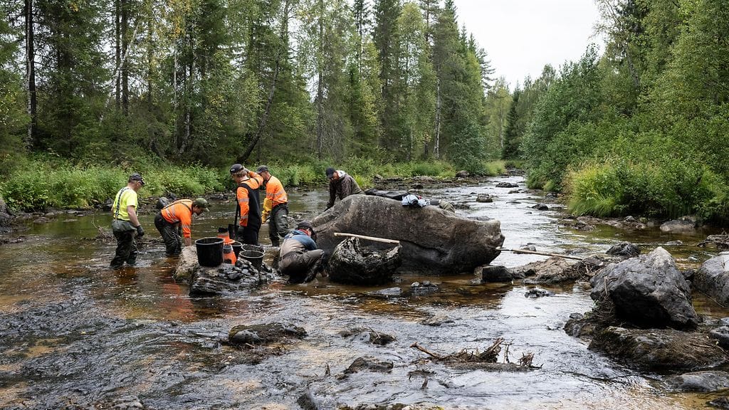 Kuva raakkujen pelastusoperaatiosta Suomussalmen Hukkajoella.