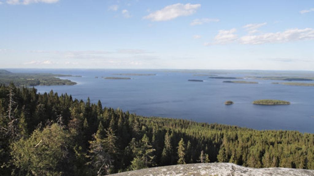 Tutustu paikallisiin vetovoimatekijöihin kotimaassa.