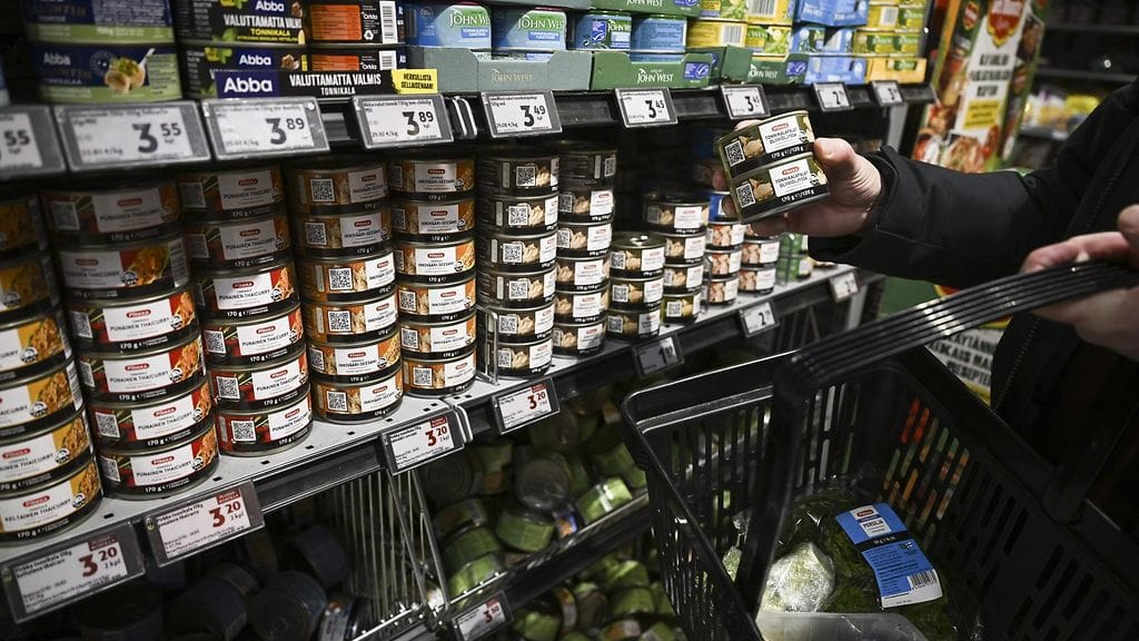 Sosten pääekonomistin mukaan Suomen taloutta on tasapainotettava, mutta hallituksen säästötoimet pikemminkin lisäävät kustannuksia pitkällä tähtäimellä.