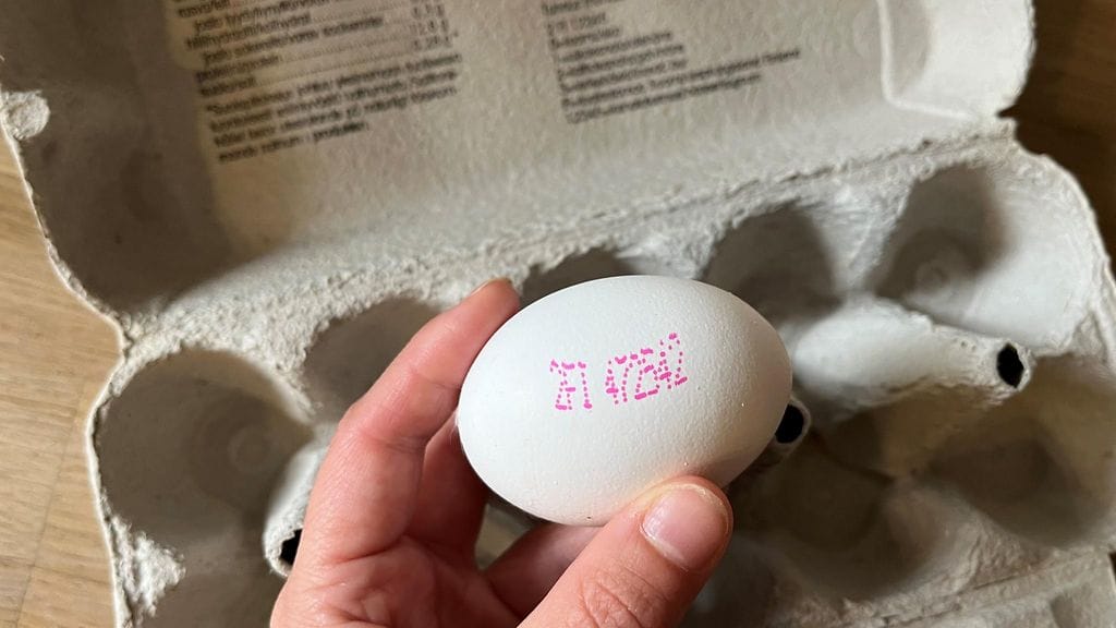 Kananmuniin lätkäistään leima, joka kertoo tärkeää tietoa munan alkuperästä ja tuotantotavasta. Kuvan kananmuna ei liity takaisinvetotapauksiin.