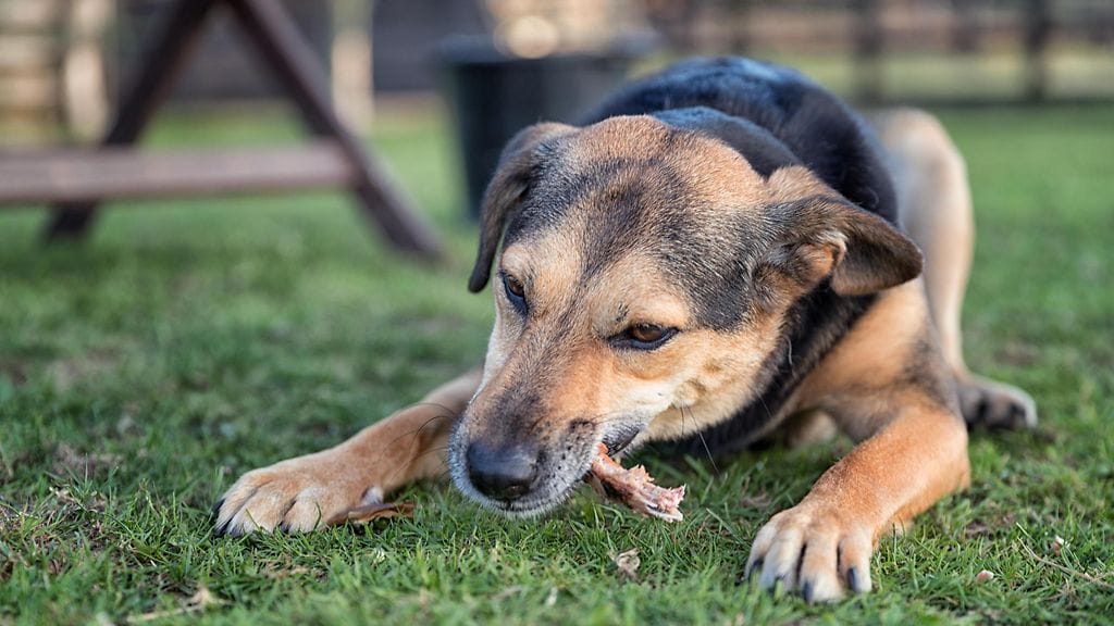 Herkkurullista on käyty keskustelua myös sosiaalisessa mediassa. Kuvituskuva.