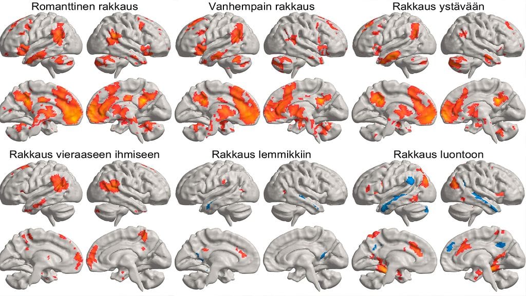rakkauden lajit aivotoiminnassa Aalto-yliopisto