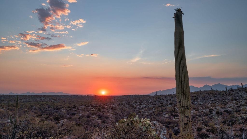 Tästä vuodesta on tulossa mittaushistorian lämpimin, arvioi Copernicus-ilmastopalvelu.