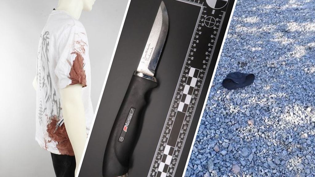 Poliisin esitutkintamateriaali tuli osin julkiseksi, kun oikeuskäsittely alkoi Varsinais-Suomen käräjäoikeudessa.