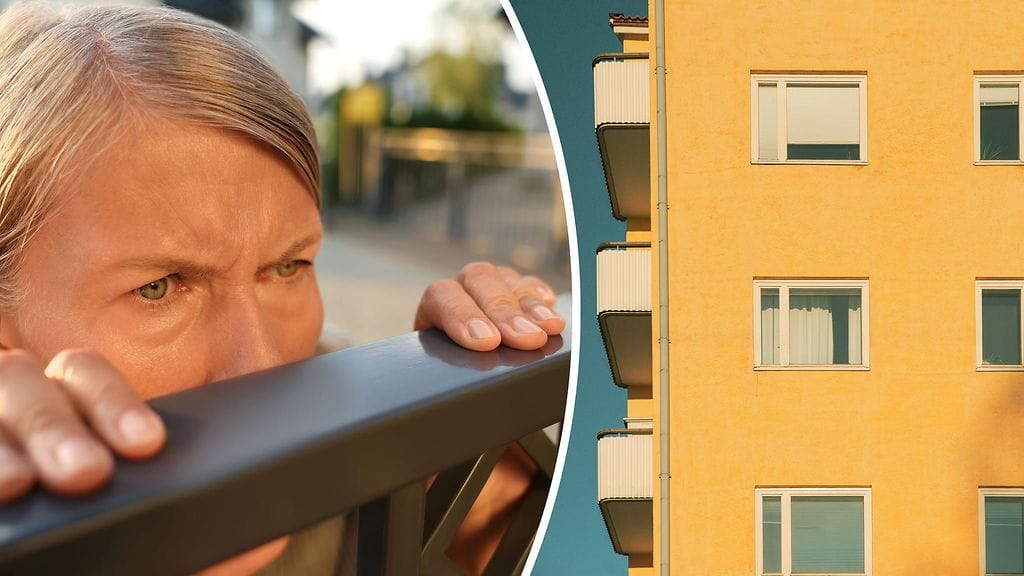 Se, onko talon elämän kiihkeästä seuraamisesta hyötyä, on monitahoinen kysymys.