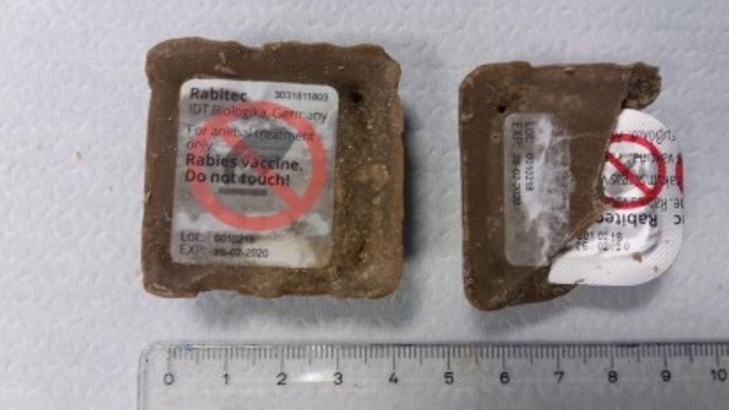 Syöttirokotteet ovat voimakkaasti kalauutteelta haisevia ruskeita noin 30 gramman paloja.