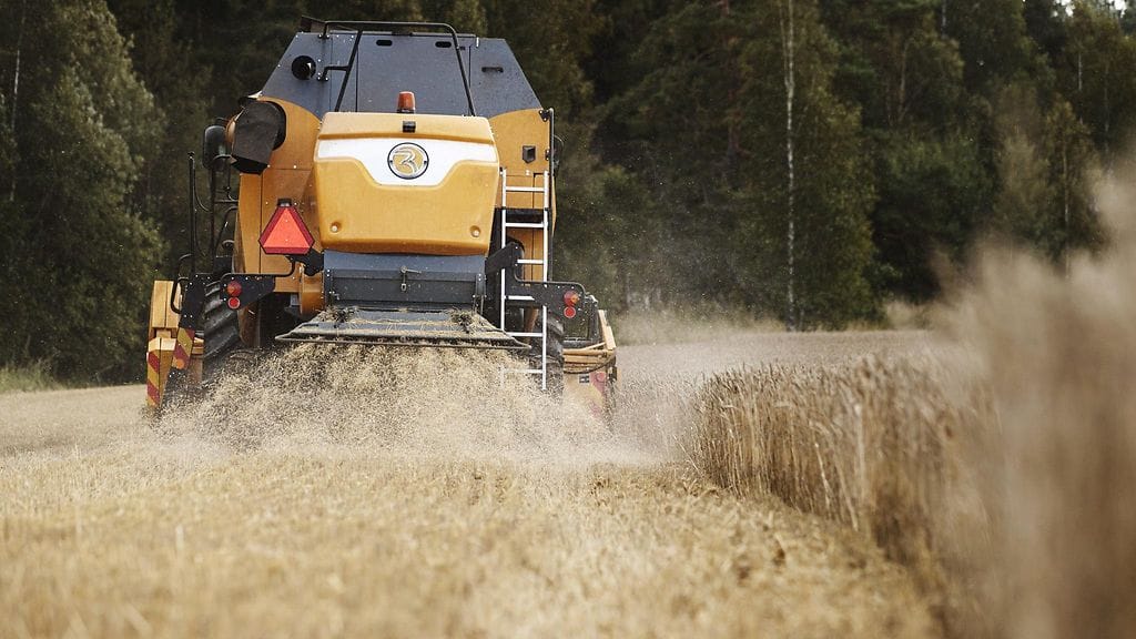 Pellonpuintia Huittisissa elokuussa 2019.