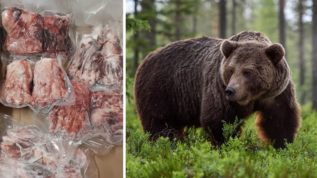 Karhun lihan myyntiin tarvitaan aina poikkeuslupa.