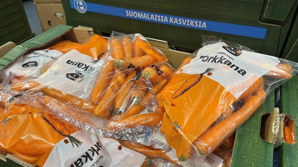 Kotimaisia porkkanoita saa nyt edulliseen kilohintaan kaupoista.