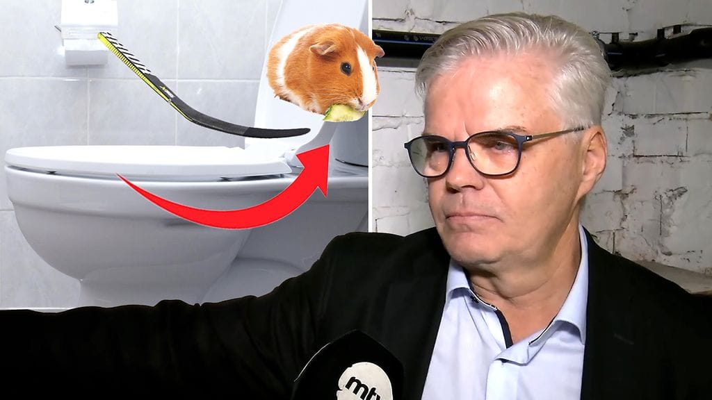 Mauri Niemelä on isännöitsijän urallaan löytänyt viemäristä muun muassa pätkän jääkiekkomailaa sekä kuolleen marsun.