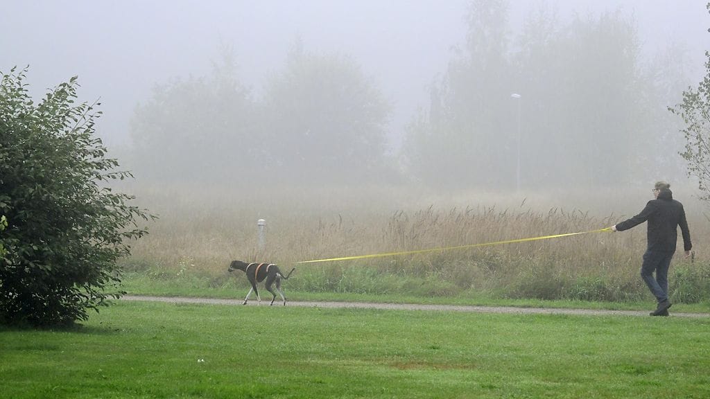 Tavanomaista lämpimämpien syyssäiden jälkeen lämpötilat vajoavat nyt maan pohjoisosissa hieman jopa tavanomaista viileämmiksi. Kuvituskuva.