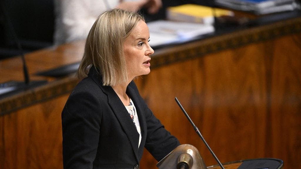 Purran mukaan hallitus aikoo niin sanottujen valuvikojen lisäksi selvittää, miten hyvinvointialueita johdetaan.