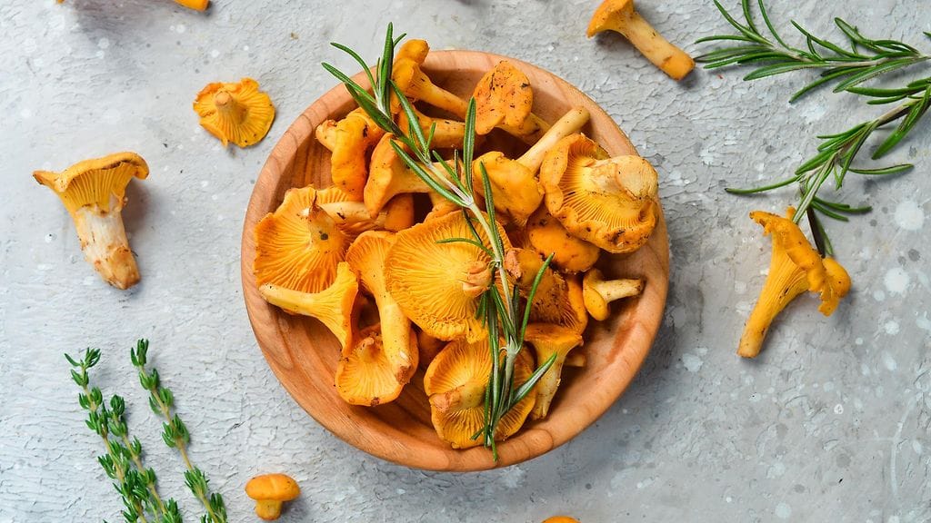 Kantarellit sopivat moneen ruokaan. Testaa kantarellirisottoa tai kantarellipastaa!