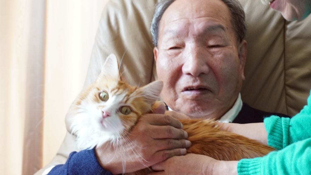 Iwao Hakadama odotti määrättyä kuolemaansa kymmeniä vuosia. Oikeus katsoi tänään torstaina, että Hakadama on syytön.