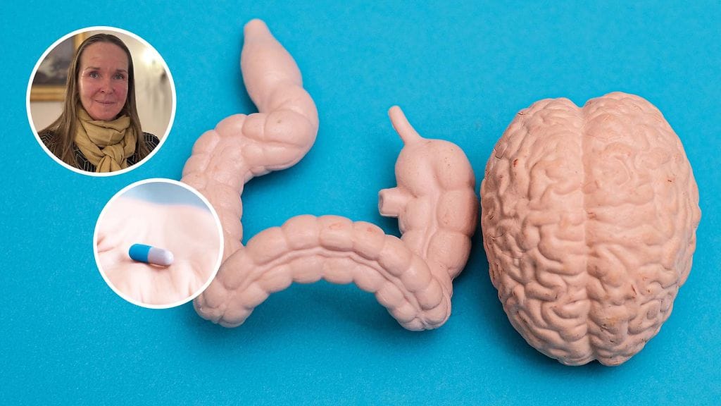 HUSin neurokeskuksen tutkijatohtori Veera Kainulainen tutkii suoliston mikrobiston ja Parkinsonin taudin yhteyttä.