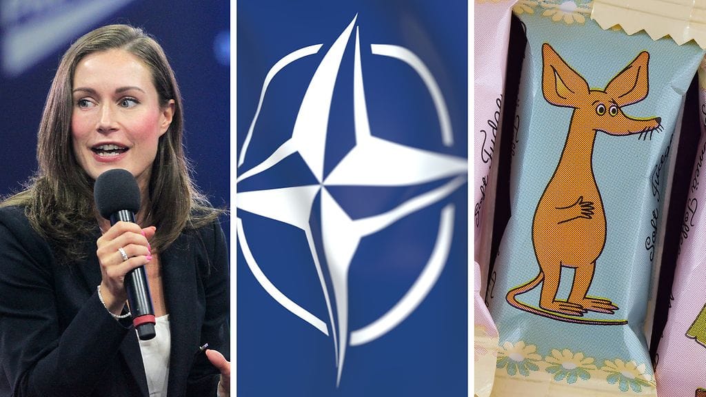 Toimittaja Salla Vuorikosken kirjan mukaan nimi tuli siitä, että pääministerin esikunnassa oli tuohon aikaan huviteltu jakamalla muumimeemejä.