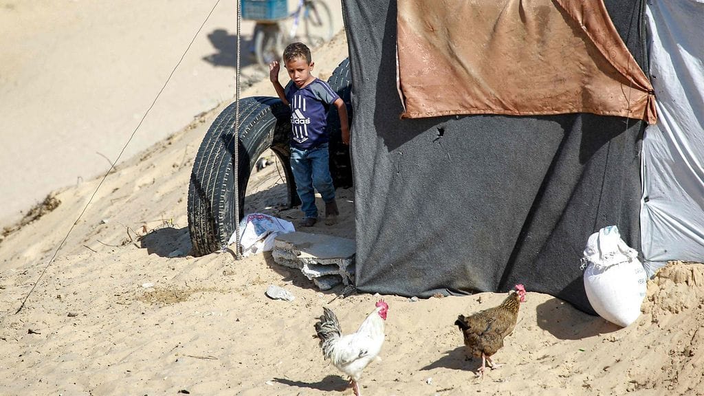 Poika ja kanoja Mawasin alueella Khan Yunisissa Gazan kaistan eteläosassa keskiviikkona.