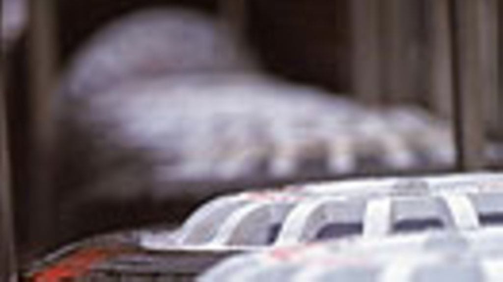 Rallirenkaita, kuva: Grazia Neri