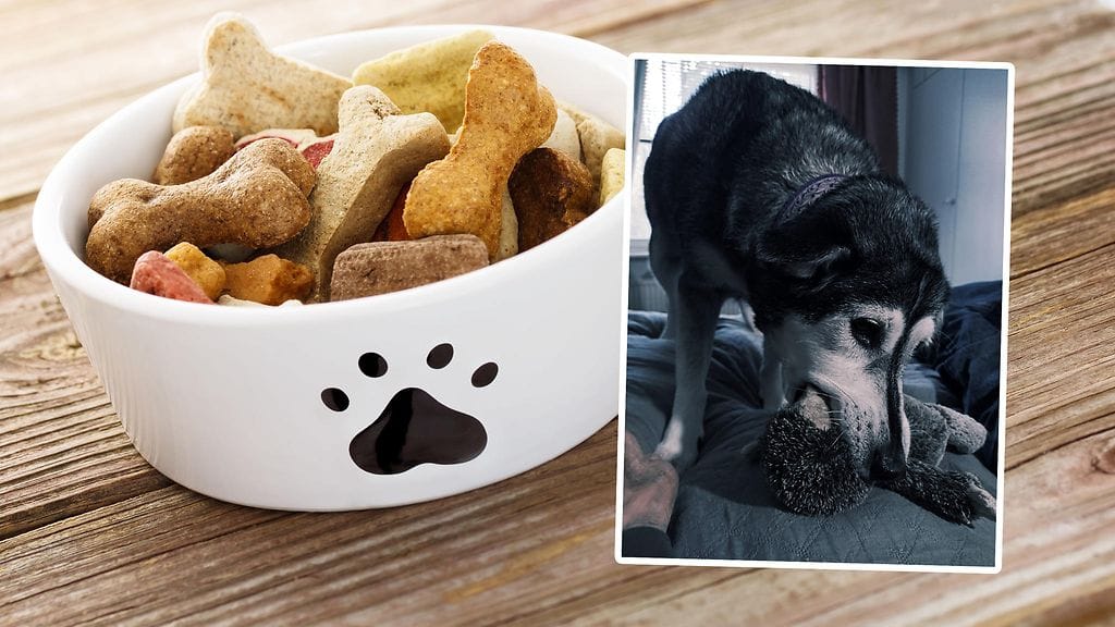 Hilla-koira sai vakavia oireita, joiden eläinlääkäri epäili johtuneen koiran syömistä ankkatikuista. Kuvituskuvan ruoat eivät liity tapaukseen.