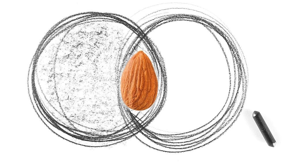 Kun kaksi ympyrää leikkaa toisensa, leikkauspisteeseen muodostuu mantelimainen kuvio.