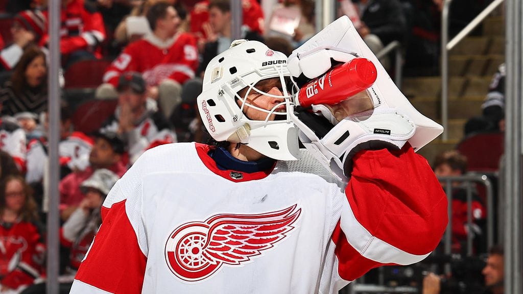 Michael Hutchinson torjui viime kaudella yhden pelin Detroitin maalilla.