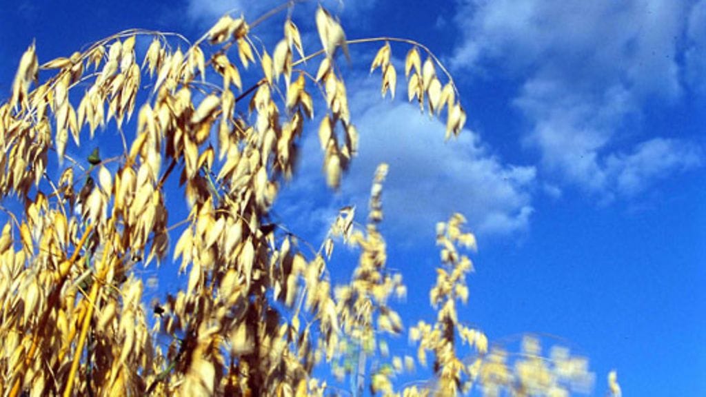 Lehtikuva/Jukka Ritola