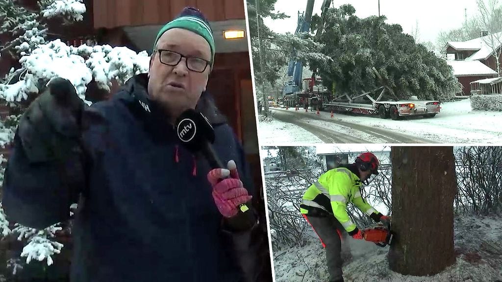 Juha kasvatti pihallaan 4 000 kilon jättiläisen – nyt sitä ihailevat turistit ja koko kansa