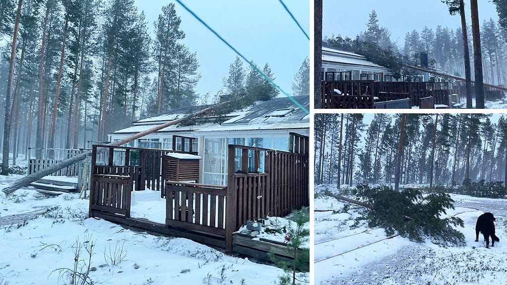 Jari-myrsky katkoi puita ja vei sähköt Jouni Sipilän mökkipaikalla Vaalassa.