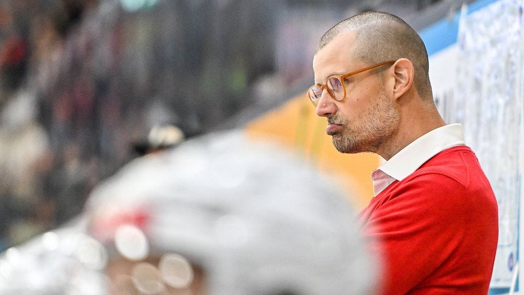 Ville Hämäläinen sai potkut Eisbären Regensburgin peräsimestä.