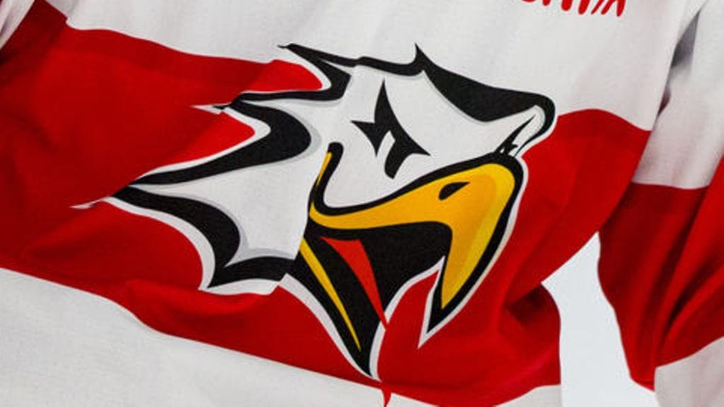 Kuvituskuvassa Vaasan Sportin logo.