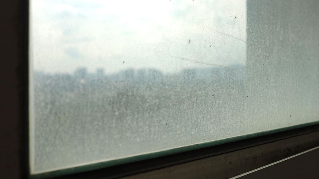 Likainen ikkuna voi pelastaa linnun.