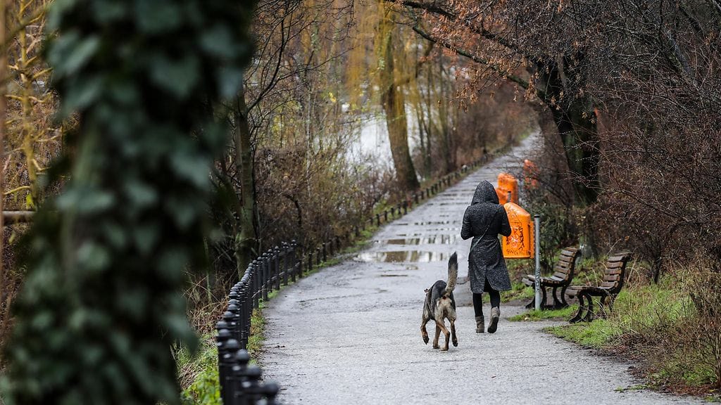 AOP Nainen ulkoili koiran kanssa Berliinissä Saksassa, 06. tammikuuta 2021.