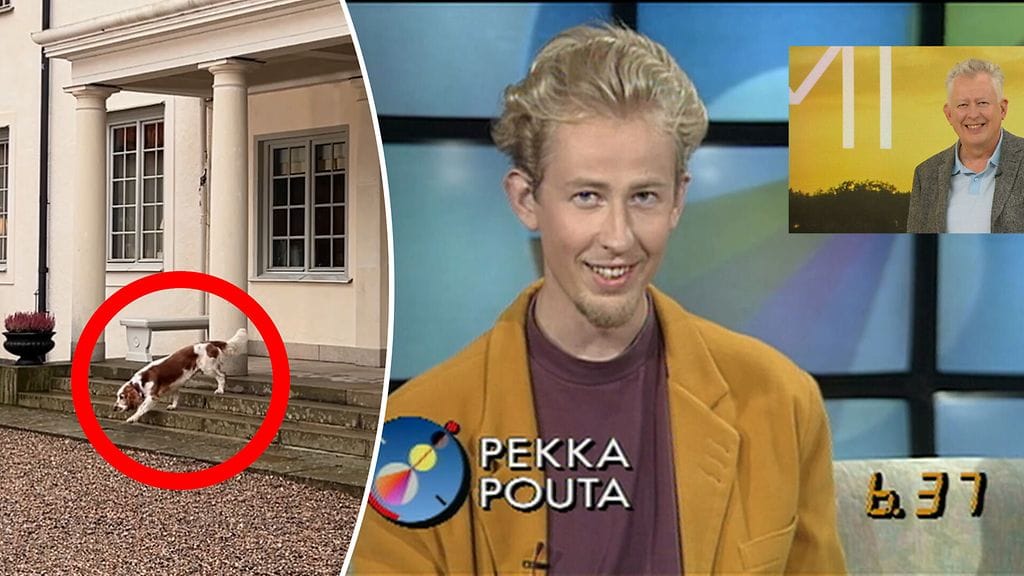 Winston-koira huvitti Ruotsissa, ja Pekka Pouta yllätettiin suorassa lähetyksessä.