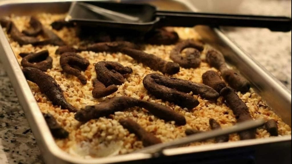 Sari valmisti viisikymppisjuhliinsa kissanhiekkalaatikon.