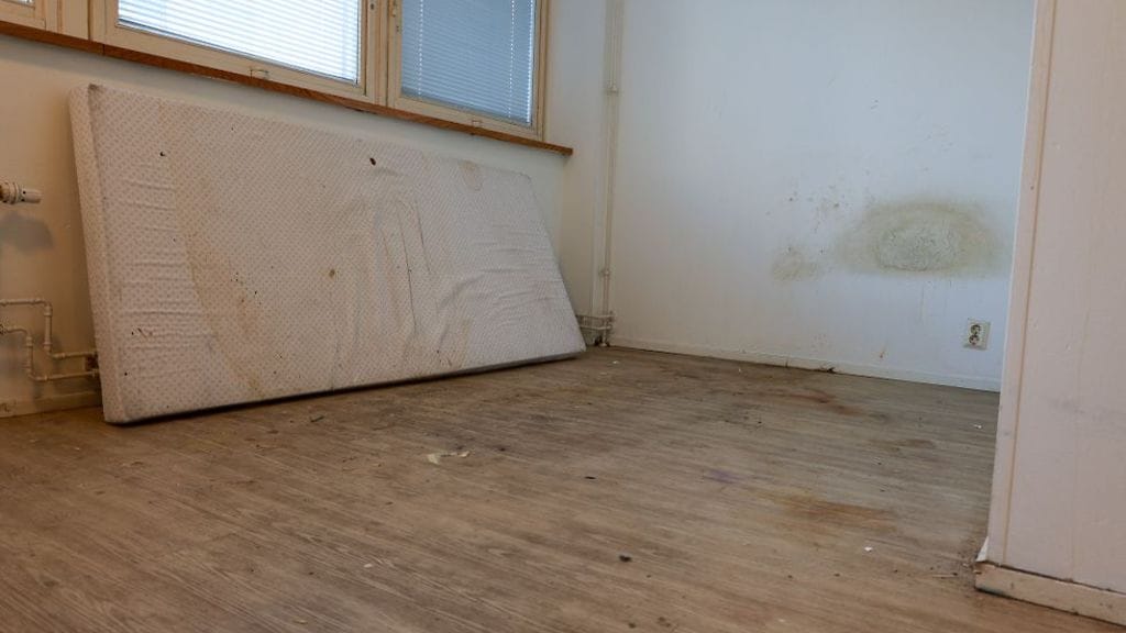 Oikotien ilmoitus asunnottomuuden arjesta.