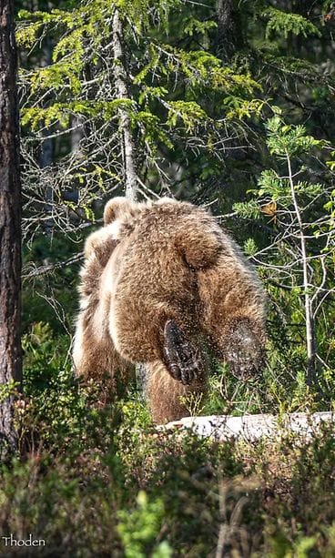 Kuva Christina Thodén