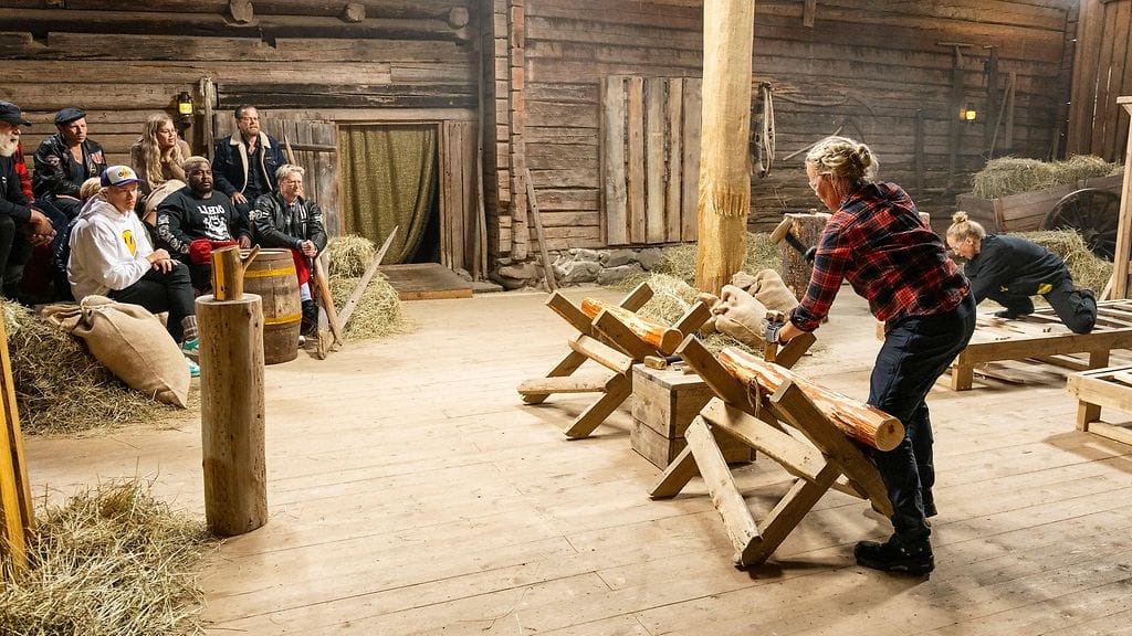 Farmi-revanssi, finaali