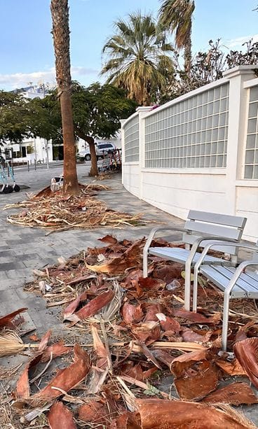 OMA Kanariansaaret 3